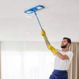 Ceiling dusting & cobweb cleaning